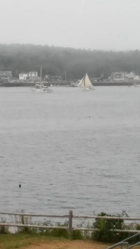 Aquarium «Maine State Aquarium», reviews and photos, 194 McKown Point Rd, West Boothbay Harbor, ME 04575, USA