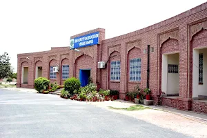 University of Education, Vehari Campus image