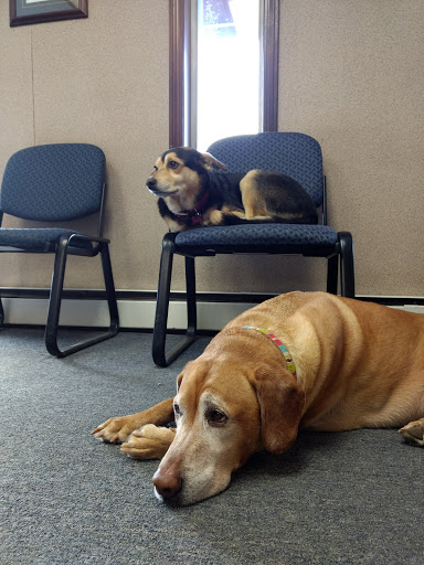 Auto Body Shop «J.A.S. Auto Body», reviews and photos, 1193 VT-14, White River Junction, VT 05001, USA