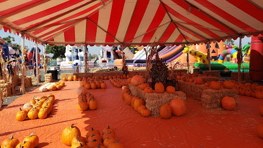 Robles Pumpkin Festival and Christmas Trees