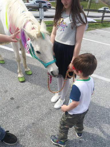 Hardware Store «Brandywine Ace Pet & Farm», reviews and photos, 1150 Pocopson Rd, West Chester, PA 19382, USA