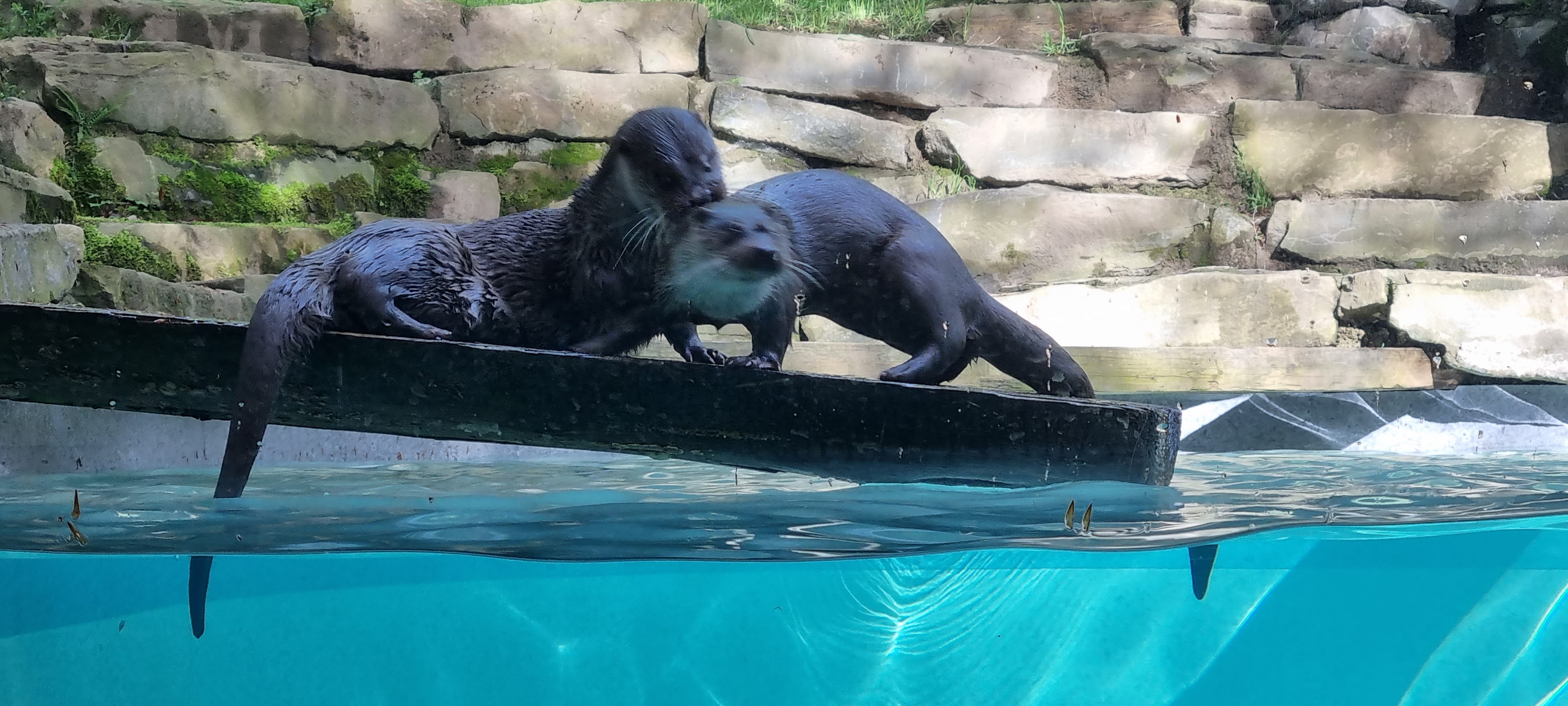 Photo n° 20 de l'avis de Anne.a fait le 25/04/2022 à 13:04
