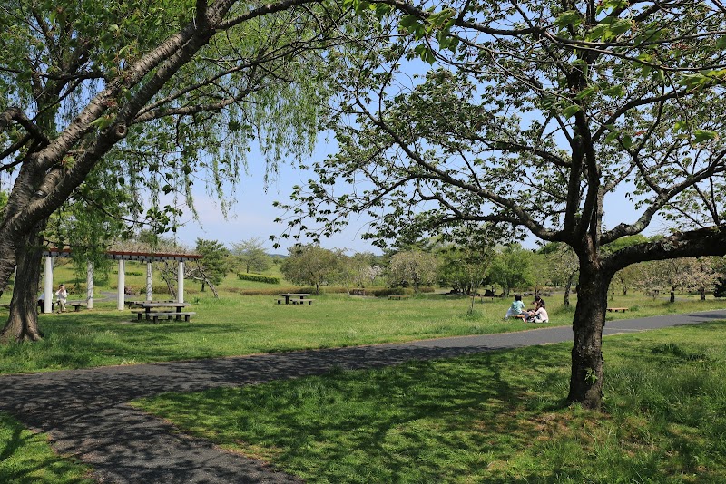 一関遊水地記念緑地公園