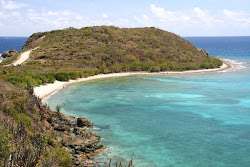 Ditleff beach'in fotoğrafı #43 ile birlikte