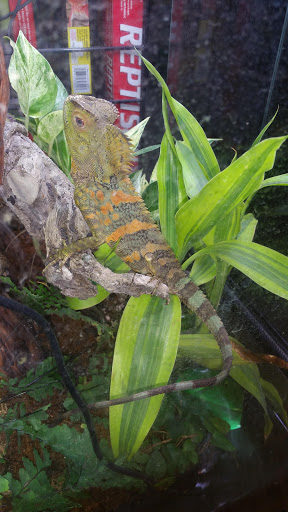 Pet Store «A Family Pet Center», reviews and photos, 6230 N Lockwood Ridge Rd, Sarasota, FL 34243, USA