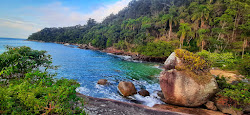 Praia da LadyDay'in fotoğrafı vahşi alan