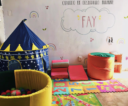 Centro de Desarrollo Infantil FAY
