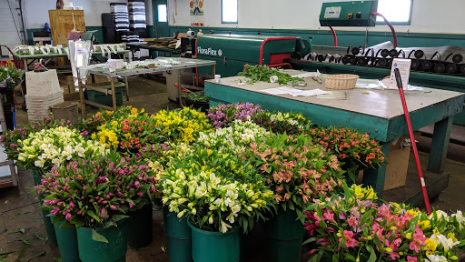 Florist «Dillon Floral Corporation», reviews and photos, 933 Columbia Blvd, Bloomsburg, PA 17815, USA