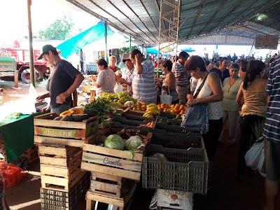 Photos of Villa Franca Fair Hair