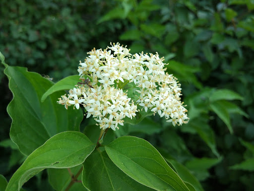 Recreation Center «Euless Family Life Center», reviews and photos, 300 W Midway Dr, Euless, TX 76039, USA