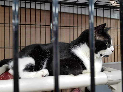 Pet Store «Pet Valu», reviews and photos, 404 E High St, Carlisle, PA 17013, USA