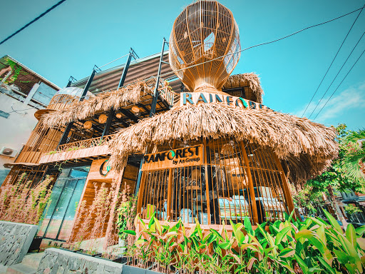 Rainforest Da Nang