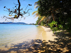 Photo de Palm Beach avec un niveau de propreté de très propre