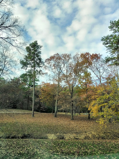 Park «Allsopp Park», reviews and photos, 3700 Cedar Hill Rd, Little Rock, AR 72202, USA