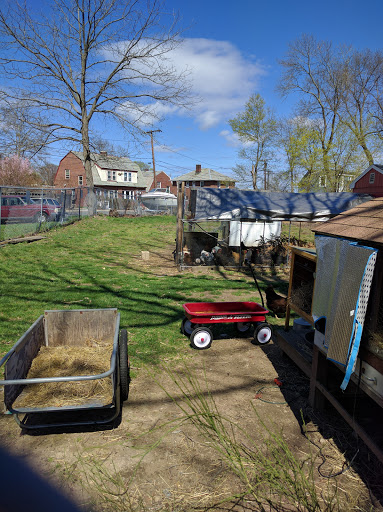 Park «Furlong Park», reviews and photos, Franklin St, Salem, MA 01970, USA