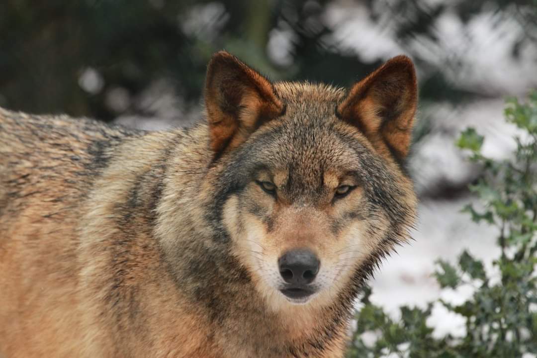 Photo n° 5 de l'avis de yolande.r fait le 24/10/2023 à 19:03