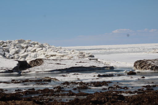 State Park «Woodlawn Beach State Park», reviews and photos, 3580 Lakeshore Rd, Blasdell, NY 14219, USA