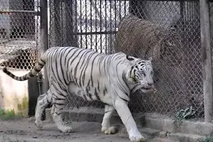 Patna Zoo image