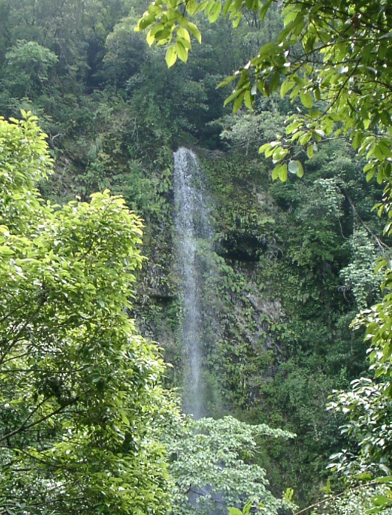 拝水の滝