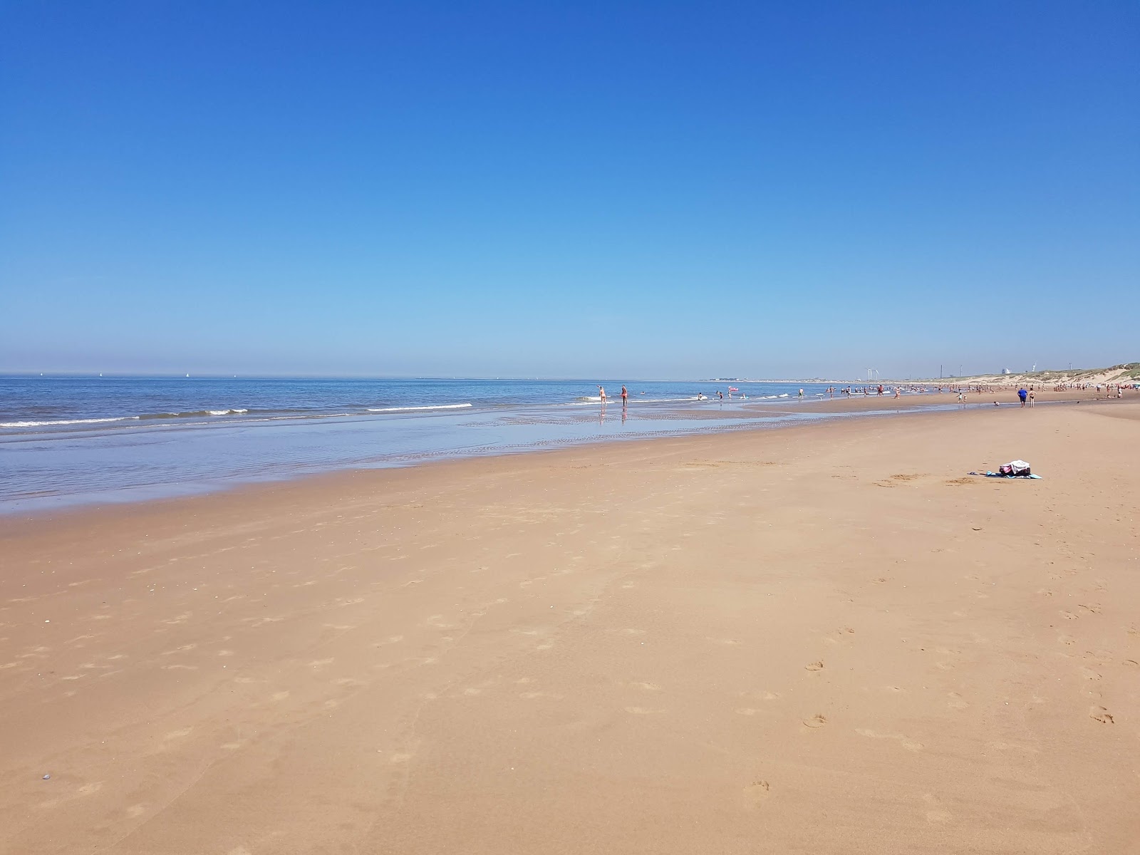 Foto van Parnassia aan Zee met hoog niveau van netheid