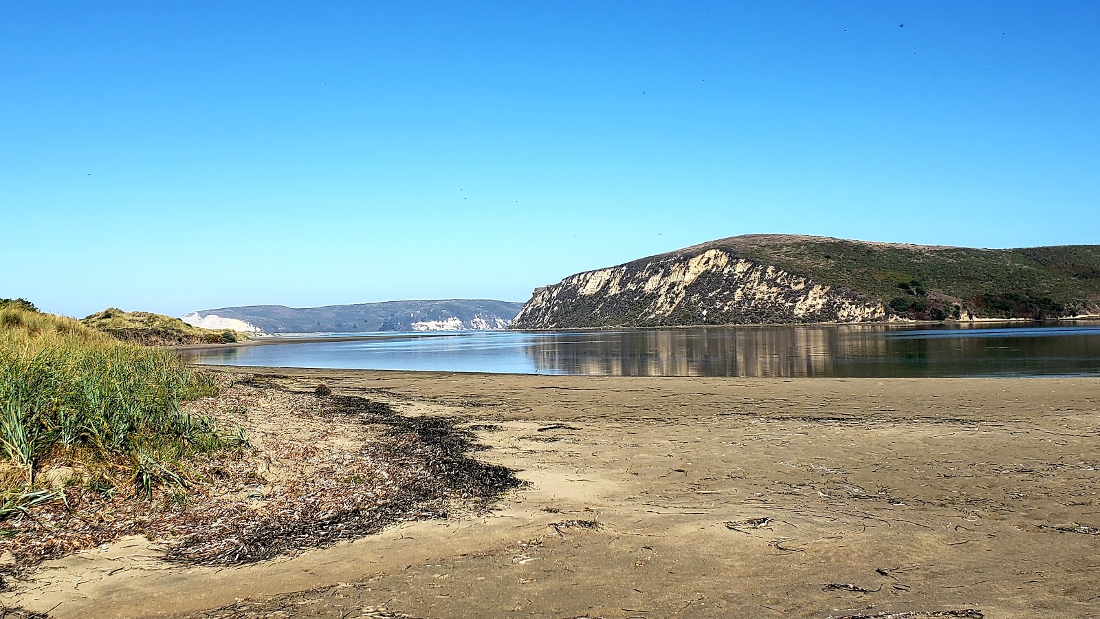Photo of Limantour Beach backed by cliffs