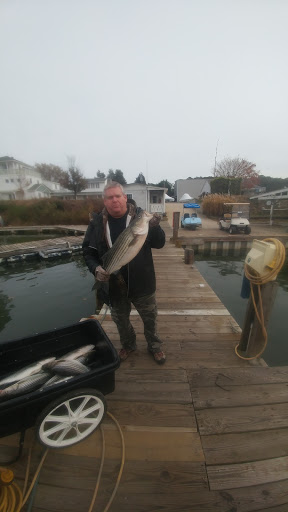 Marina «Smith Point Marina», reviews and photos, 989 Smith Point Rd, Reedville, VA 22539, USA