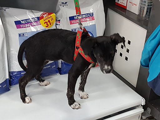 Cornellà Modern Veterinaris en Cornellà de Llobregat