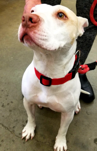 Pet Supply Store «Western Ranch & Pet Supply», reviews and photos, 103 Aegean Way, Vacaville, CA 95687, USA