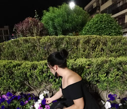 Plaza Bicentenario photo