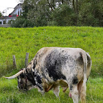 Photo n°3 de l'avis de Lophoto..w fait le 17/11/2019 à 07:29 sur le  Seepudel à Behrensdorf