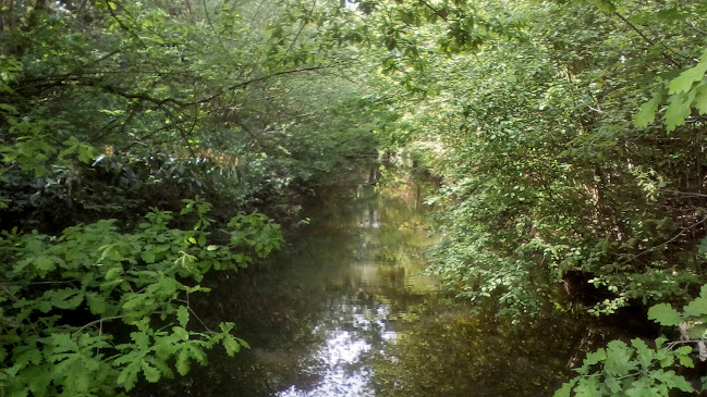 Clarissenklooster - Kerk
