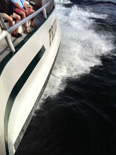 Whale Watching Tour Agency «7 Seas Whale Watch», reviews and photos, 63 Rogers St, Gloucester, MA 01930, USA