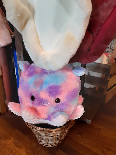 American Restaurant «Cracker Barrel Old Country Store», reviews and photos, 4011 Ulmerton Rd, Clearwater, FL 33762, USA