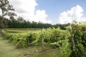 Landry Vineyards LLC image