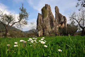 Natural Monument Camposoriano image