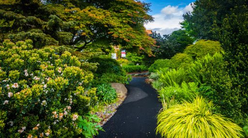 Park «Zumdieck Park», reviews and photos, 1500 108th Ave NE, Bellevue, WA 98004, USA