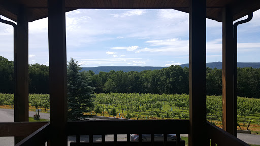 Winery «Mt. Nittany Vineyard and Winery», reviews and photos, 300 Houser Rd, Centre Hall, PA 16828, USA