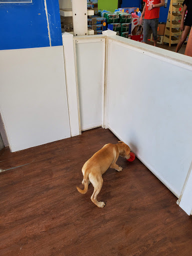 Pet Supply Store «Pets Plus - Bensalem», reviews and photos, 1336 Bristol Pike, Bensalem, PA 19020, USA