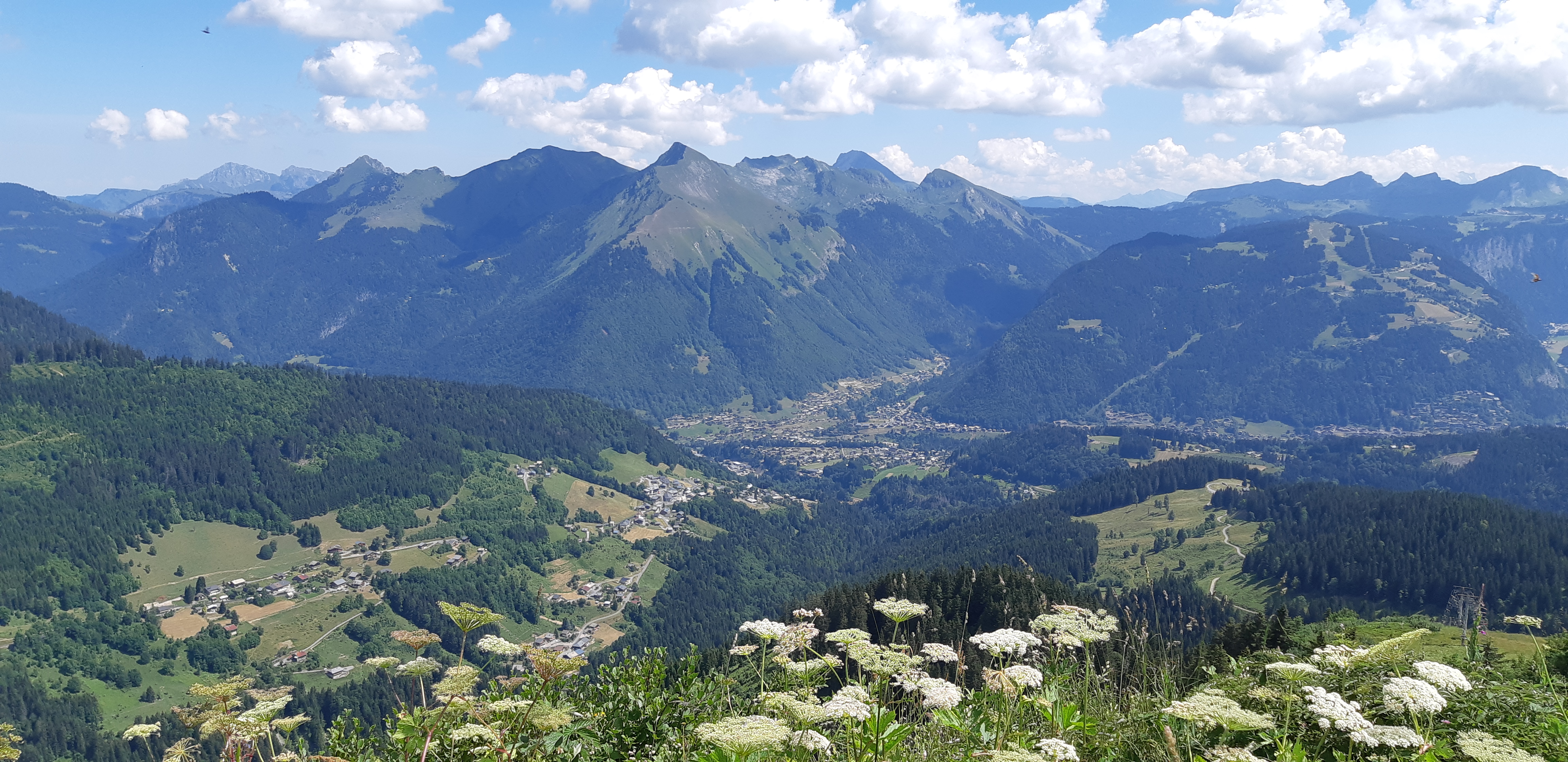 Photo n° 6 de l'avis de Joelle.e fait le 20/07/2018 à 19:26
