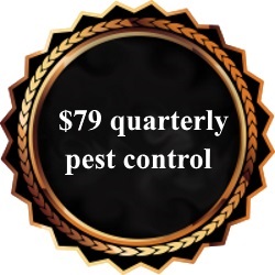 Advanced Pest Services - Bee Removal High Point NC, Pest Control Service, Pest Removal