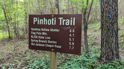 Pinhoti Trail Hawkins Hollow Co Rd 8