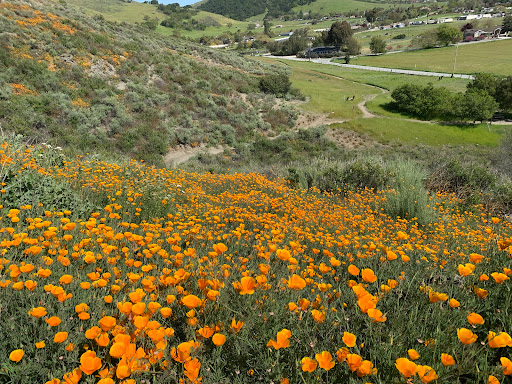 Santa Teresa County Park, Stile Ranch Entrance