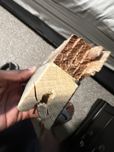 Furniture Store «Gardner-White Furniture», reviews and photos, 7680 Telegraph Rd, Taylor, MI 48180, USA