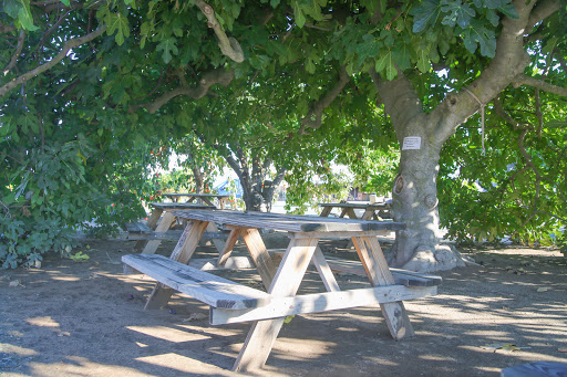 Winery «Heritage Oak Winery», reviews and photos, 10112 E Woodbridge Rd, Acampo, CA 95220, USA