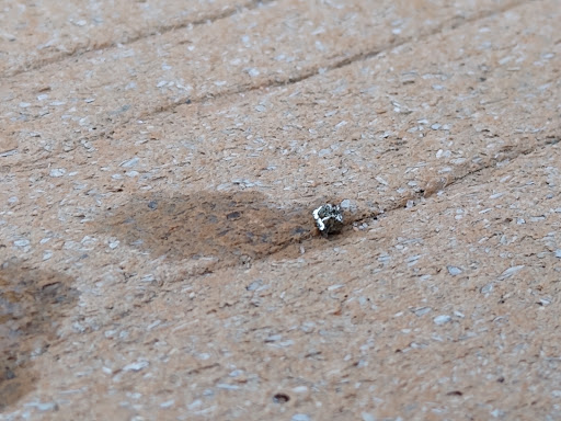 Museum «Ghost Town Museum», reviews and photos, 400 S 21st St, Colorado Springs, CO 80904, USA