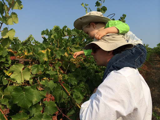 Tourist Attraction «TREOS Winery», reviews and photos, 10705 Airlie Rd, Monmouth, OR 97361, USA