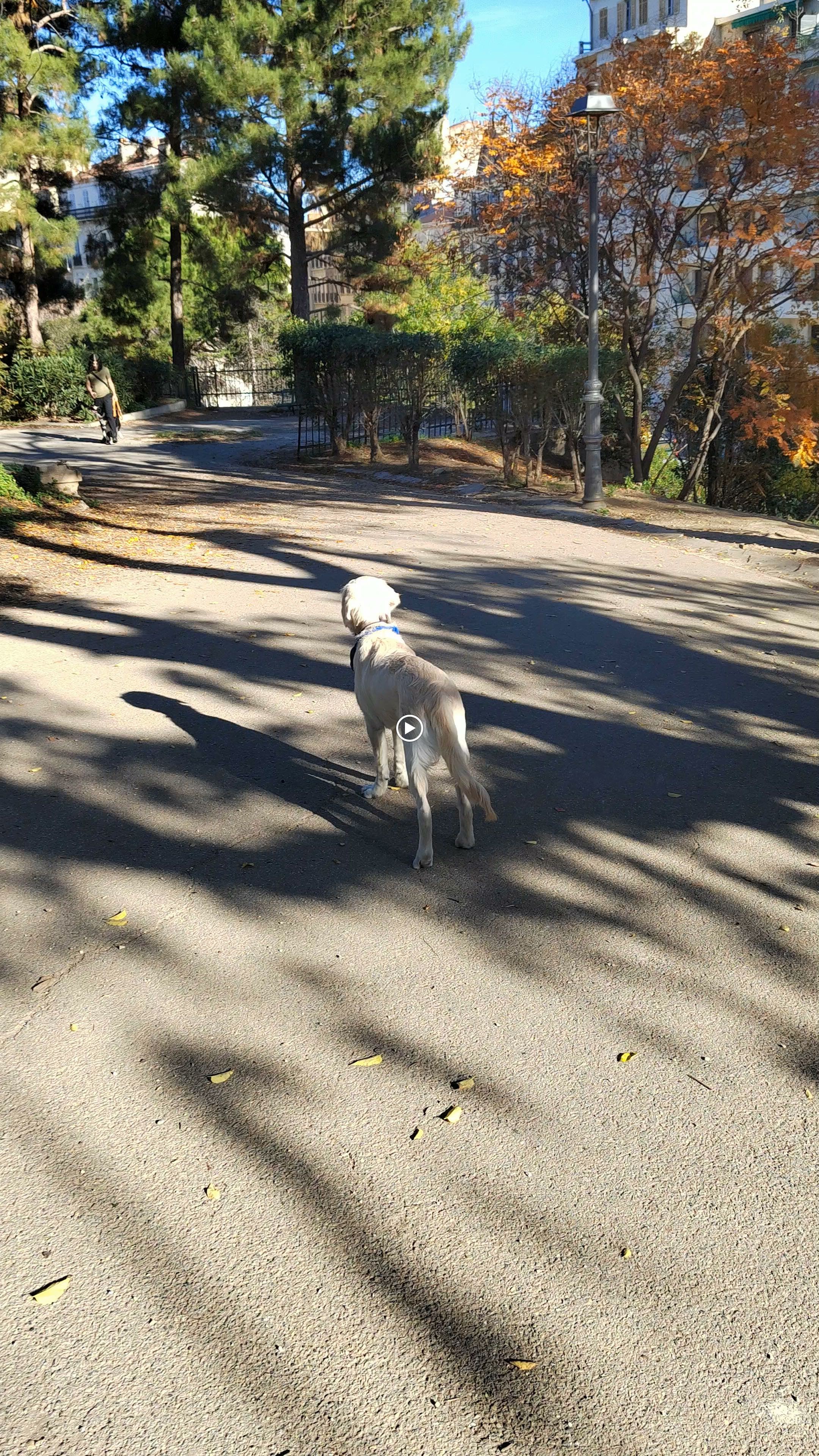 Photo n° 1 de l'avis de Franck.n fait le 24/11/2023 à 09:37