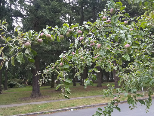 Park «Mt. Scott Park», reviews and photos, SE 72nd Ave & Southeast Harold Street, Portland, OR 97206, USA