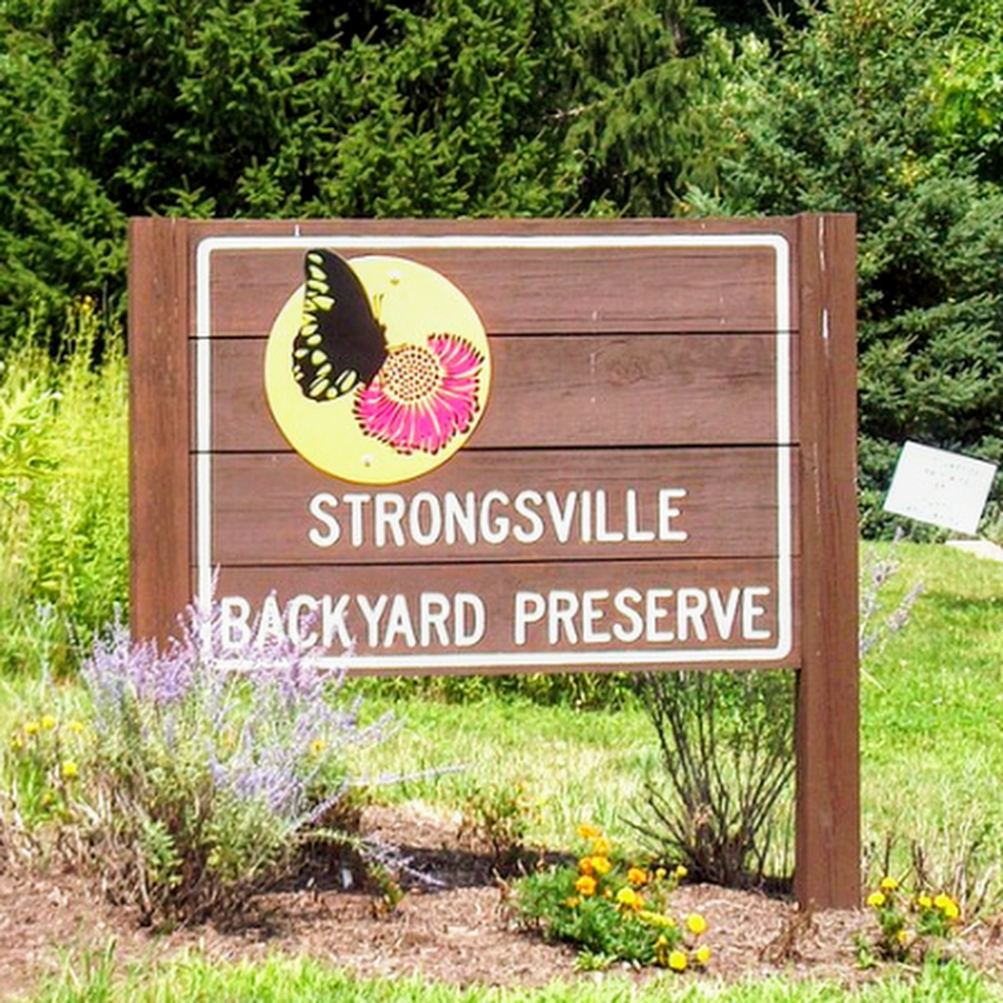 Strongsville Backyard Preserve