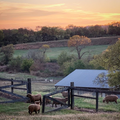 Beau Cheval in Wartrace